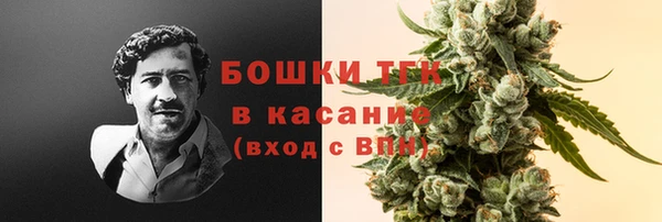 PSILOCYBIN Балабаново