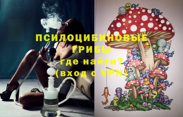 PSILOCYBIN Балабаново